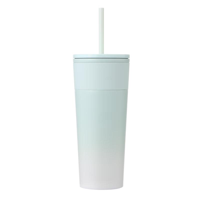 Starbucks Mint Green Stainless Steel Straw Tumbler