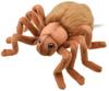 BH8488 HANSA Brown Tarantula 19