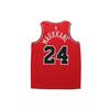 Nike Джерси НБА Chicago Bulls 864465-664