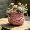 Watering Can Planter Metal Decorative Flower Pot with Long Spout