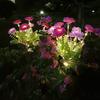 Artificial Snow Lotus Solar Light with Stake Weather-proof Outdoor Garden Yard Pathway Patio Yard