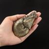 Teapet Sea Animal Sculpture Lucky Presents Lifelike Collectible Sealifes Nautilus Figurine
