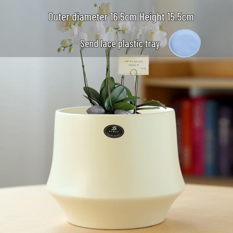 Light Luxury Cloud Ceramic Flower Pot with Tray