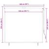 Outdoor Roller Blind 160 x 250 cm Anthracite