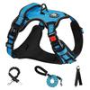 NESTROAD Dog Dog Harness and Lead for Easy To Put On and Take Night Come Walking Pull Shiba Akita Lead Included Harness, Set, Small/Medium/Large Dogs,