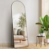 Arched Full Length Mirror 65'' x 22'' Full Body Mirror Standing Hanging