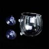 Aquarium Plant Cup Glass Plant Holder for Fishtanks with Suction Cups for Hydroponic Plants and Fishtanks Landscaping