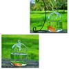 Hydroponic Wall Hanging Bubble Aquarium Fish Glass Diy Pot Vase Plant Home Decor