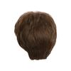 Men Short Natural Curly Wig with Bangs Fluffy High Temperature Fiber Male Teens Wavy Black Brown Synthetic Hair