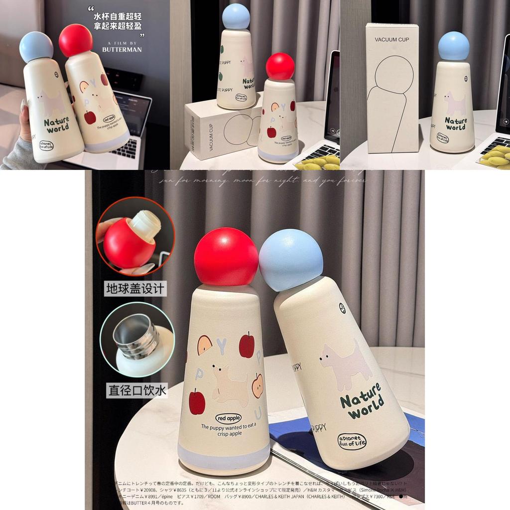 Insulated Water Bottle With Vacuum Seal For School And Travel Use