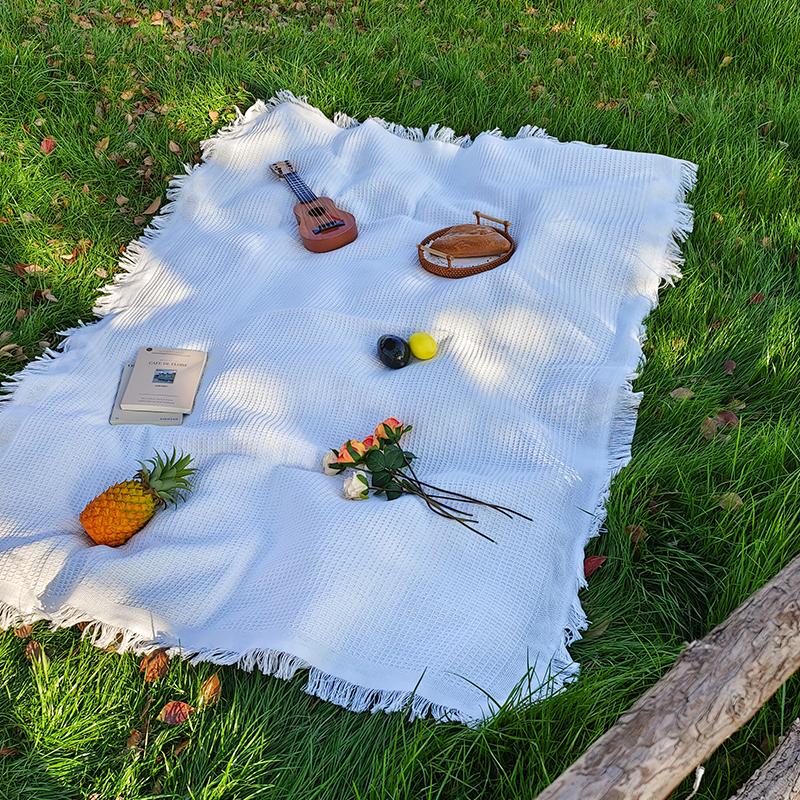 Hot Sale Custom Blanket Comfortable Solid Travel Blanket Picnic Throw Blankets for Home Decor