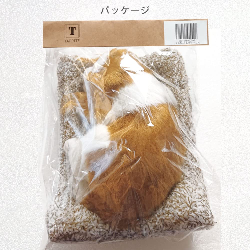 TATOTTE Stuffed Realistic Cute Sleeping Activated Charcoal Soothing Interior Dog, Figurine, Dog, Included, (Cavalier)