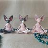 Hairless Cat Meditation Resin Ornament Buddhist Meditation Home Ornament Design Creative Decorations