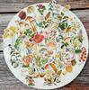 90Pcs/Pack Plants Mushroom Sticker DIY Craft Scrapbooking Album Journal Happy Planner Decorative Stickers