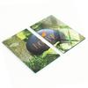 Kitchen Multifunctional Decorative Boards Tempered Glass Love 2x30x52 Cm