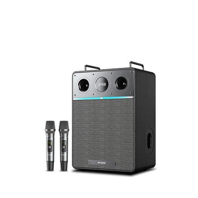 Портативная Bluetooth-колонка для караоке W-King T6Pro, штекер CN (адаптер в комплекте)