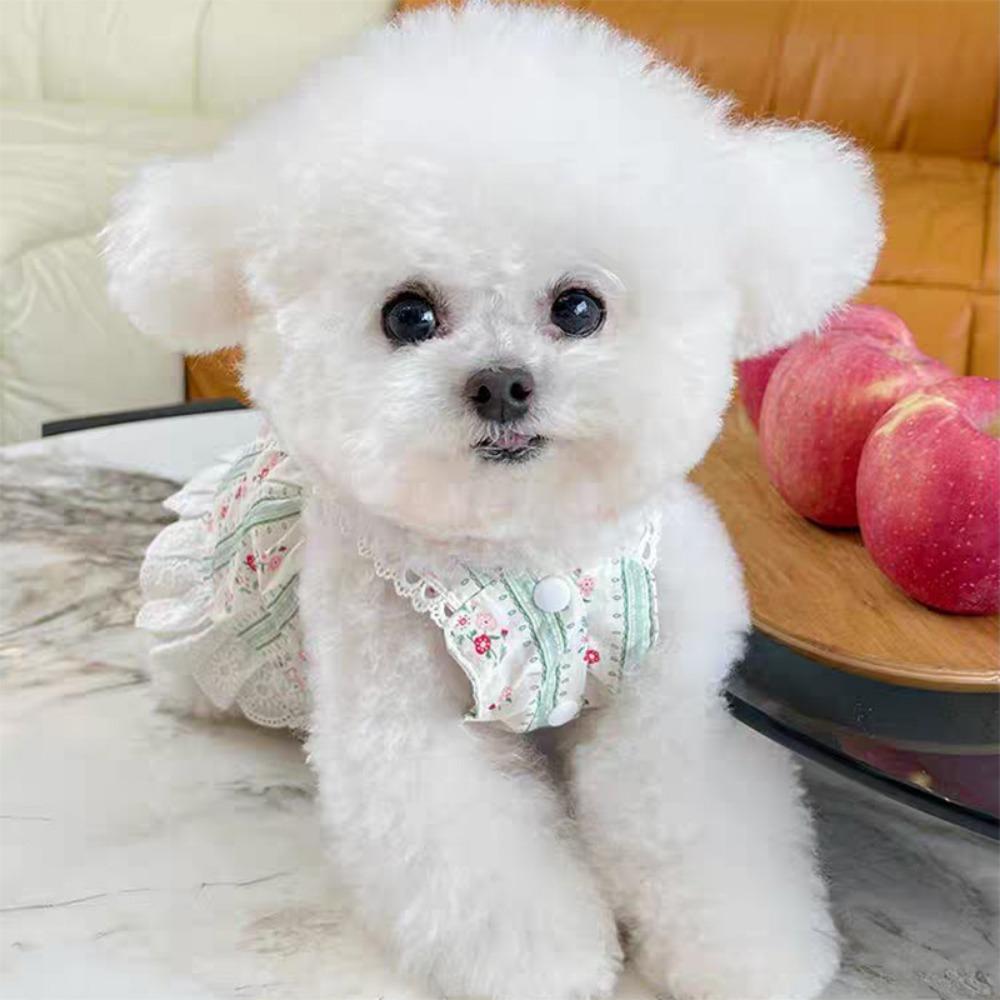 Одежда для домашних животных Весна/лето Новая полосатая кружевная юбка с цветочным принтом Медвежонок Кот Тонкая одежда Одежда для собак для маленьких собак Платье для маленьких собак