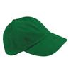 Unisex Adult Heavy Brushed Cotton Low Profile Cap