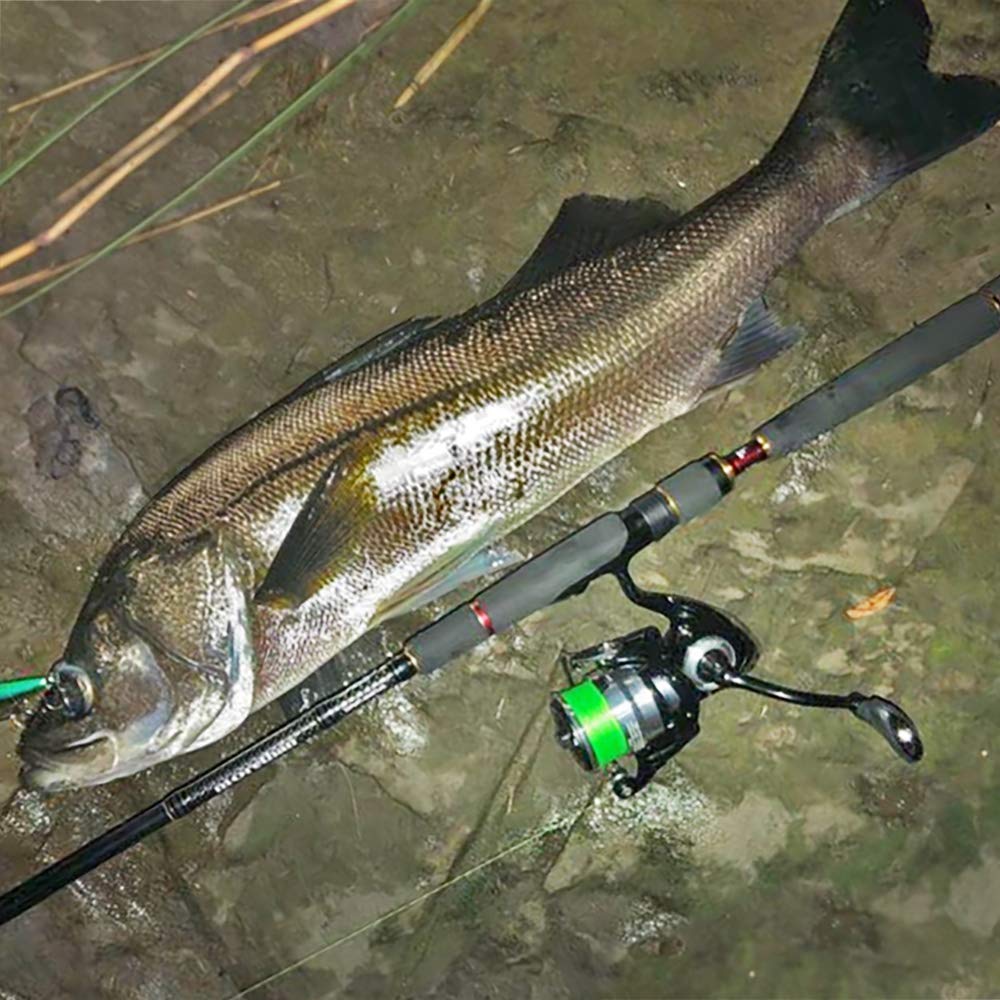 Daiwa Spinning Reel 19 REGZA LT3000-XH (2019 Model)