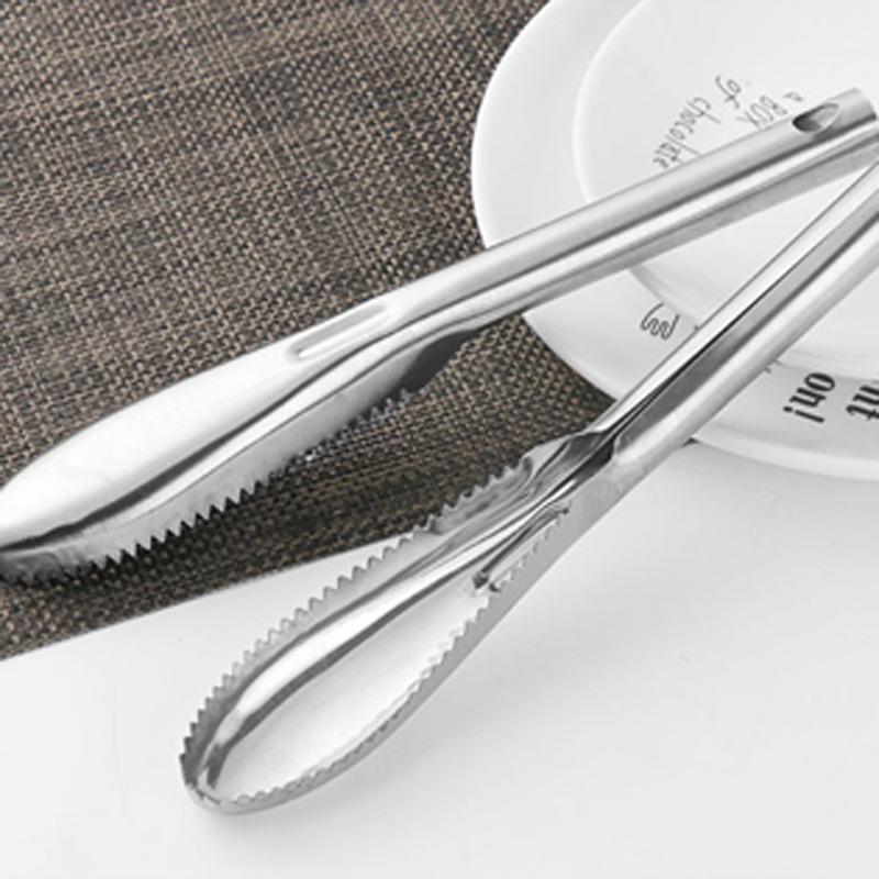 Stainless Steel Fish Scaler with Ergonomic Handle and Serrated Edge