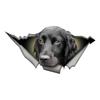 Black Cocker Spaniel 3D Car Sticker, Fun Waterproof Sticker for Cars, Trucks, Motorcycles, Walls, Windows, PVC Material