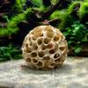 Fish Breeding Cave 3D Print Aquarium Shrimp Hideout, Sphere Hollow Cave, Hiding Spot Tank Shelter Ornament for Shrimp, Small Fish, Aquascaping Layouts