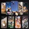 Чехол для телефона с собакой Шиба-ину для iPhone Samsung Galaxy Redmi Xiaomi Oppo OnePlus Note SA 7 8 9 10 11 12 13 14 20 21 22 23 53 54 Pro Max Plus Ultra