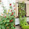 10M Garden Plant Climbing Netting Durable Polyester Trellis Mesh Bean Plant Support Vine Grow Fence Hydroponics Net Accessories