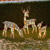 LED Reindeer Christmas Decoration Iron Frame Lighting Deer Ornament Indoor And Outdoor