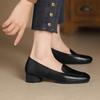 Французские ретро лоферы из мягкой кожи женские на толстом каблуке и маленькие кожаные туфли 2025 весна новая обувь на низком каблуке с мелким вырезом