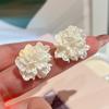 1Pair Ice Crack Flower Ear Studs Trendy Temperament Elegant Earrings