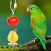 5 Pcs Parrot Treat Holder, Stainless Steel Parrot Hanging Vegetable Fruit Feeder, Bird Food Holder, Food Kebab Basket Bowl, Parrot Foraging Toy