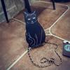 НОВИНКА СУМКА НА ЦЕПИ BLACK CAT - Женская уличная модная сумка с котенком для девочек, 2024, милая крутая уникальная забавная сумка через плечо