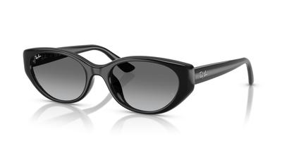 Ray-Ban Солнцезащитные очки RB4457D Черный / Серый градиент (Азиатская посадка)