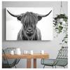 Wild Animals Canvas Painting Posters and Prints Cuadros Wall Art Picture for Living Room Decor Black and White Yak Highland Cow