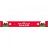 Wales World Cup 2022 Jacquard Knitted Winter Scarf
