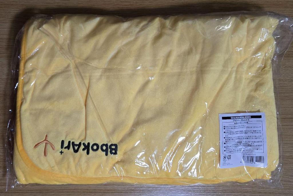 [USED] StrayKids SKZOO Felix Pogari Blanket