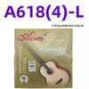 Alice A618 Wooden Bass 4-String Set for Advanced Players