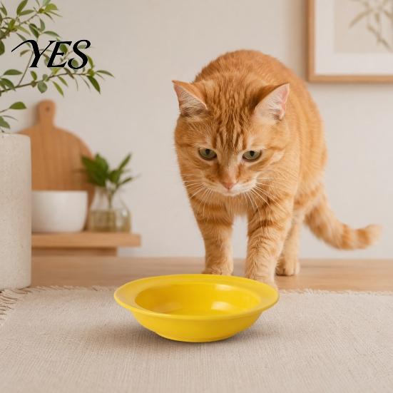 Ceramic Kitten Bowl Cat for Dry Wet Food, Microwave Dishwasher Safe Pet Dish Feeder Plate, Whisker Friendly Food Water Durable