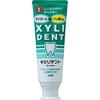 Set Sale: Lion Xylident Lion Cavity Prevention Toothpaste (120g) X 12-Pack Toothpaste