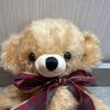 [USED] Merrythought Cheeky Christmas Holiday 100 Teddy Bears