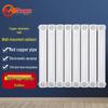 Minggu Steel-Aluminum Wall-Mounted Radiator