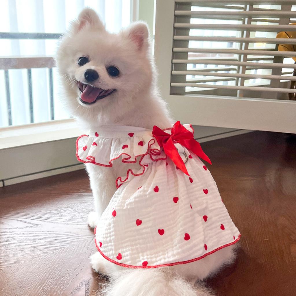 Dog Spring Bowknot Dress T-Shirt Princess Pullover Clothing Apparel Cute Apparel for Spring and Summer