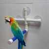 Bird Perches Parrot Budgie Foldable Suction Cup Window Shower Bath Wall Paw Grinding Stand Toy