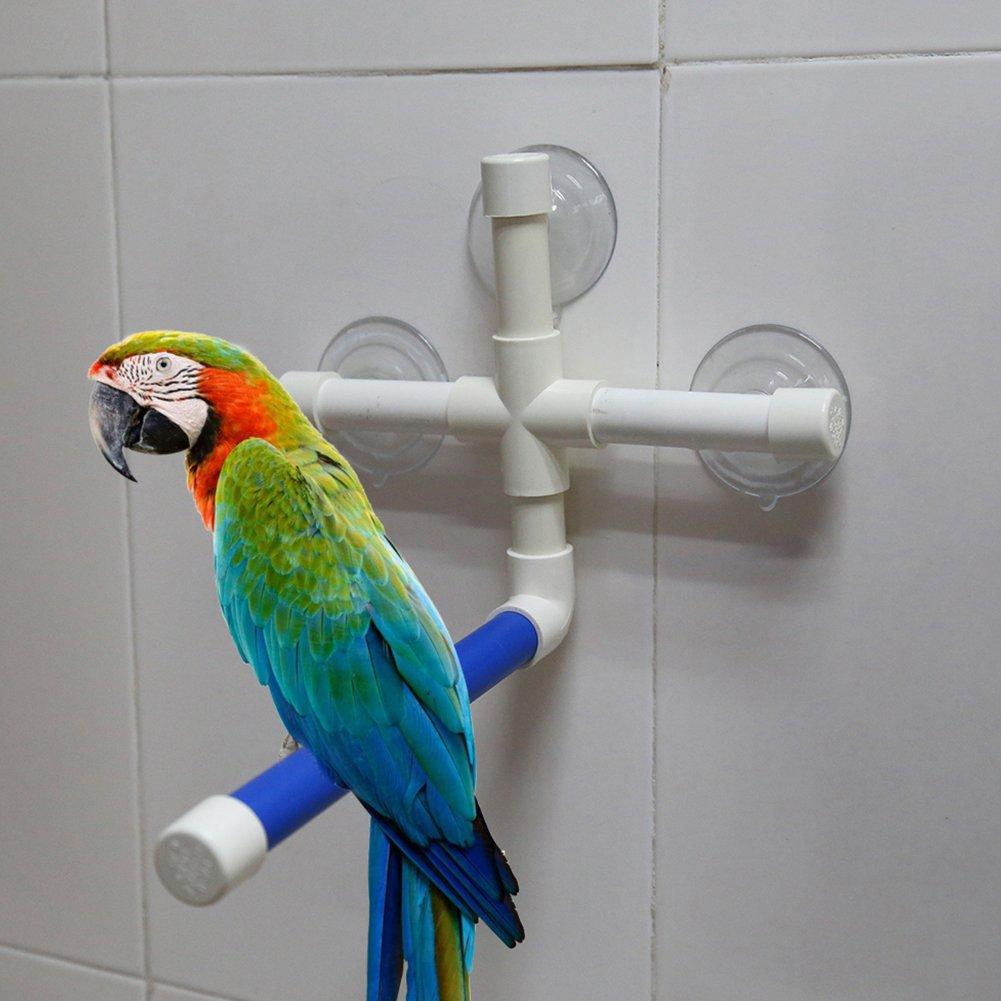 Bird Perches Parrot Budgie Foldable Suction Cup Window Shower Bath Wall Paw Grinding Stand Toy