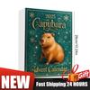 Capybara 24 Days Christmas Countdown Calendar with 24 2D Flat Capybara Ornaments Advent Calendar for Christmas Tree Home Decor