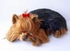 Nini and Kino Perfect Pet (Large Size) Yorkshire Terrier Plush Toy Dog Dog Realistic Look-alike Miscellaneous Goods Animal Healing Moving Present