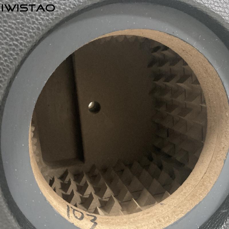 IWISTAO HIFI 10-дюймовый пассивный сабвуфер Пустой корпус Сотовый HDF-плита Корпус Автозвук DIY