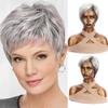 Synthetic Short Straight Wigs With Bangs Extensions Grey Wig Fiber Wigs For Women