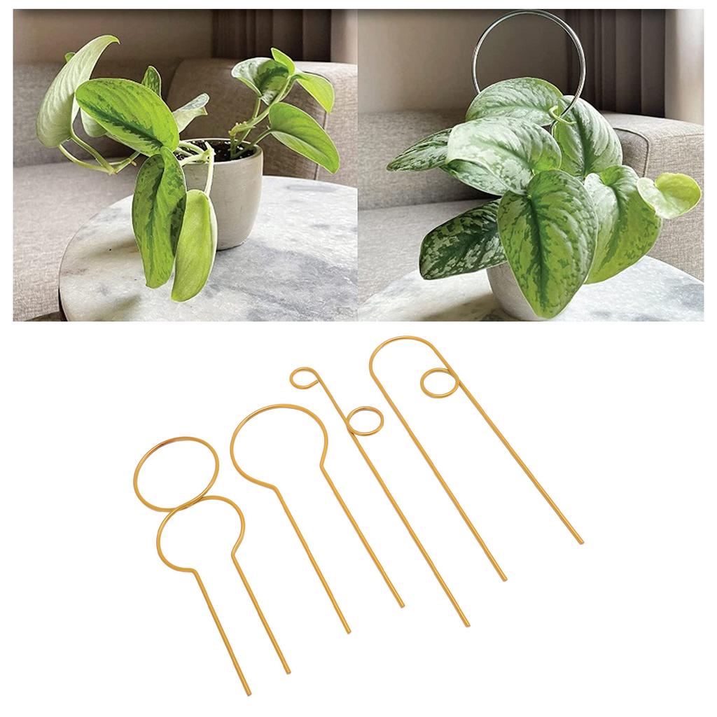 4pcs Plant Rust Proof Stylish Metal Climbing Plant for Home Garden Potted Plant